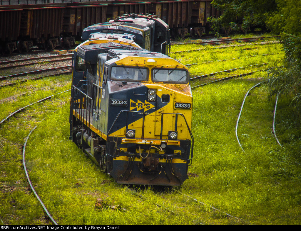 MRSL 3933